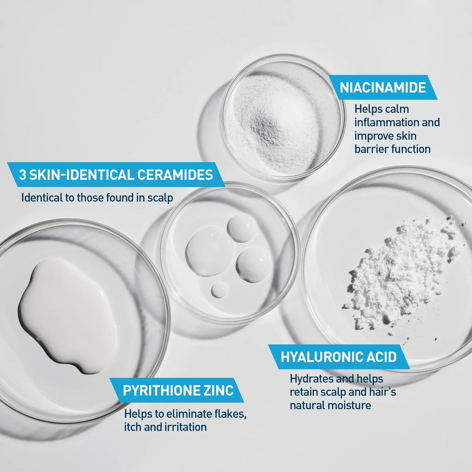 Wholesale Price with free shipping across the USA for CeraVe Hydrating Anti Dandruff Shampoo Sulfate Free & Color Safe Itchy Scalp Treatment - Manji Distributors