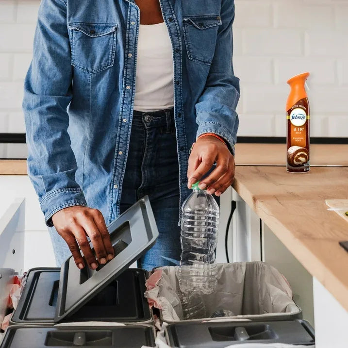 Wholesale Price with free shipping across the USA for Febreze Air Mist, Odor-Fighting Air Freshener, Pumpkin Roll, 8.8 oz. Aerosol, Pack of 2 - Manji Distributors