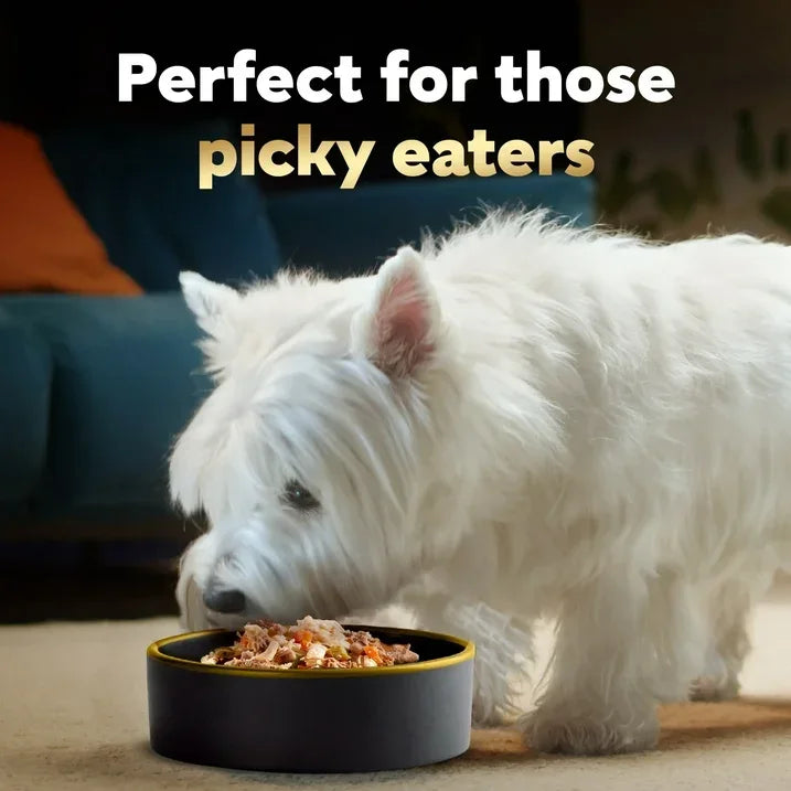 Wholesale Price with free shipping across the USA for Cesar Simply Crafted Wet Dog Food Variety Pack, 1.3 Oz Tubs (8 Pack) - Manji Distributors