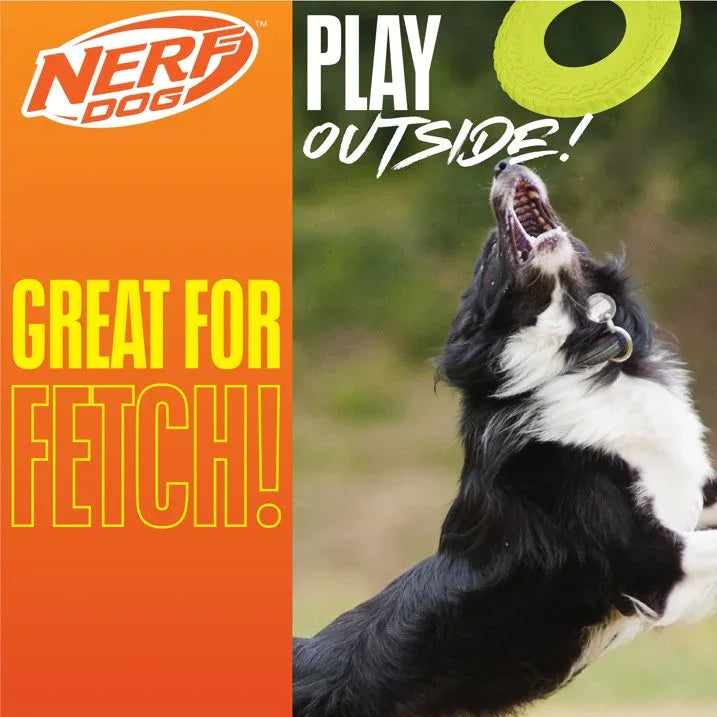 Wholesale Price with free shipping across the USA for Nerf Dog Tire Flyer Dog Fetch Toy, Green, 10 inch - Manji Distributors