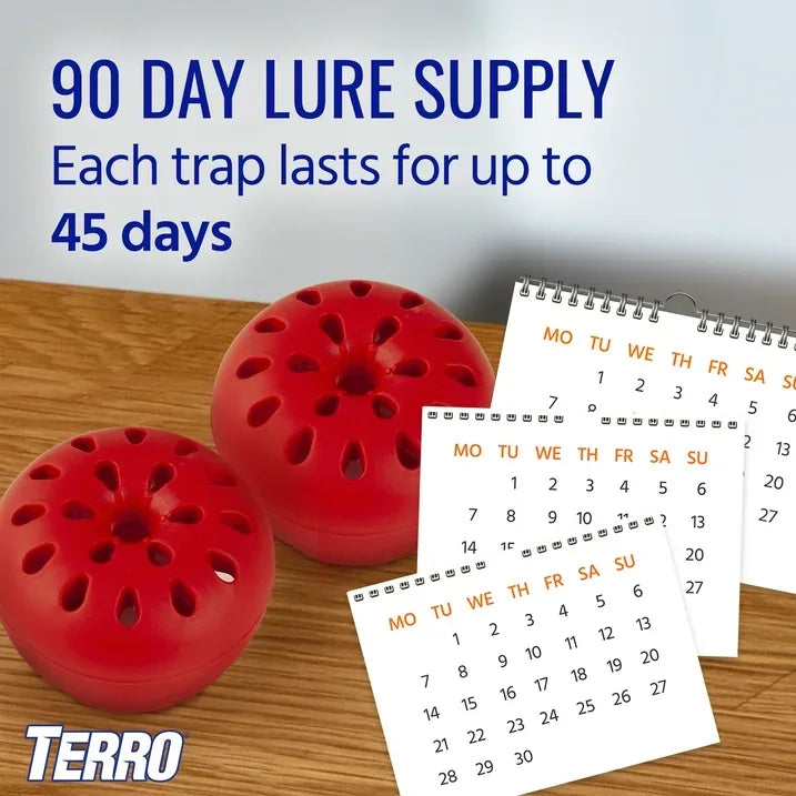 Wholesale Price with free shipping across the USA for (2 pack) TERRO Fruit Fly Trap, 2 Pack - Manji Distributors