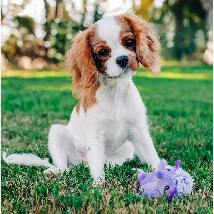 Wholesale Price with free shipping across the USA for (3 pack) Multipet Mini Pet Plush Hedgehog Small Dog Toy with Squeaker, Purple - Manji Distributors