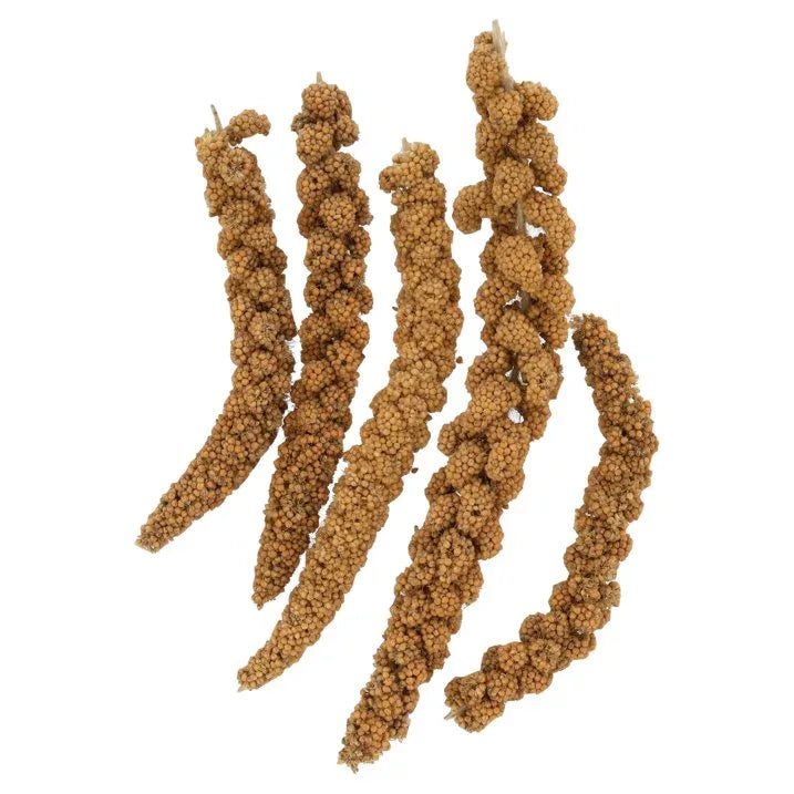 Wholesale Price with free shipping across the USA for (2 pack) FM Brown Extreme Spray Millet Treat 16 oz. - Manji Distributors