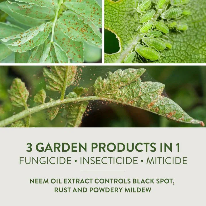 Wholesale Price with free shipping across the USA for Garden Safe Fungicide 3 Concentrater, 28 oz, Controls Fungus & Insects - Manji Distributors