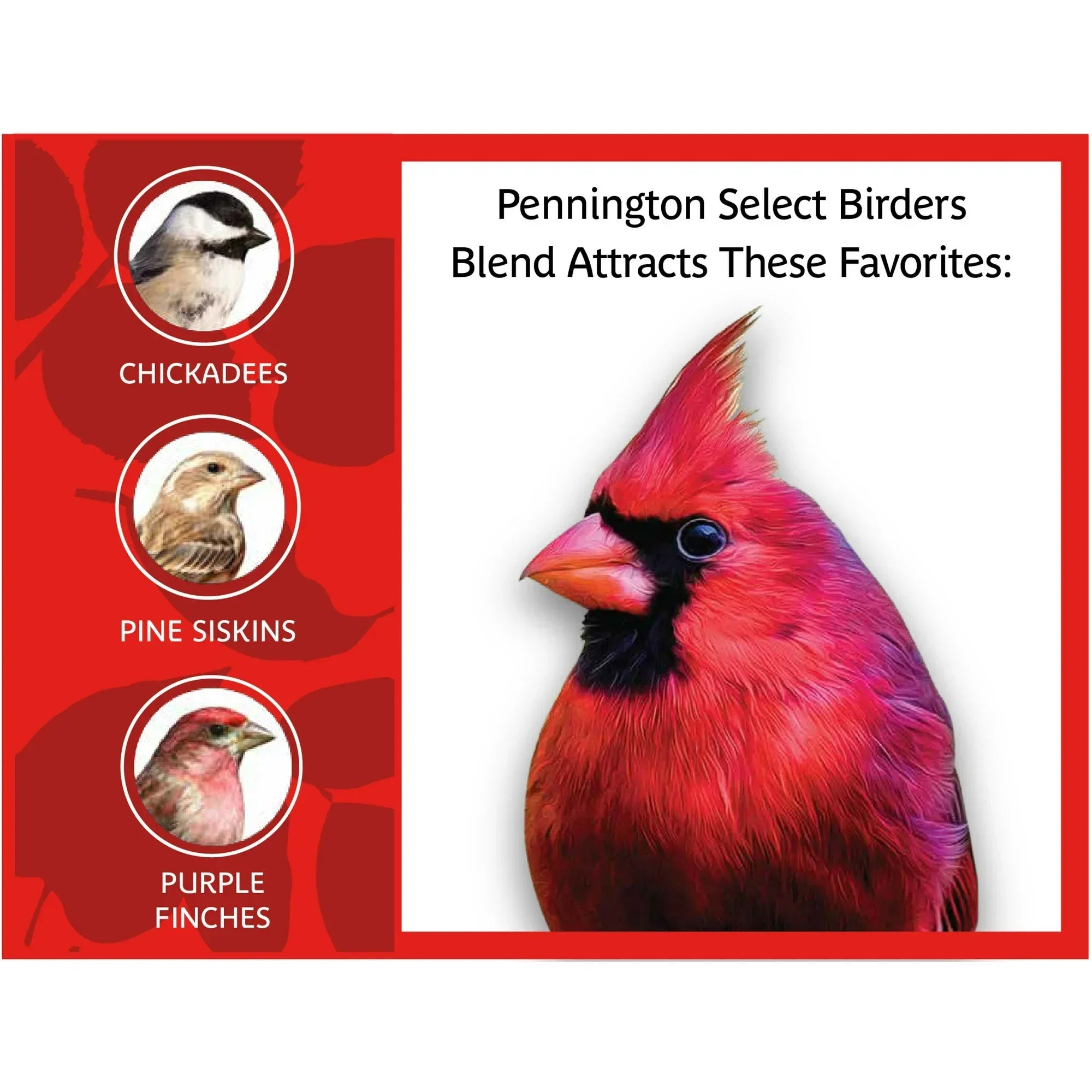 Wholesale Price with free shipping across the USA for Pennington Select Birder's Blend, Wild Bird Seed and Feed, 14 lb. Bag, 1 Pack, Dry - Manji Distributors