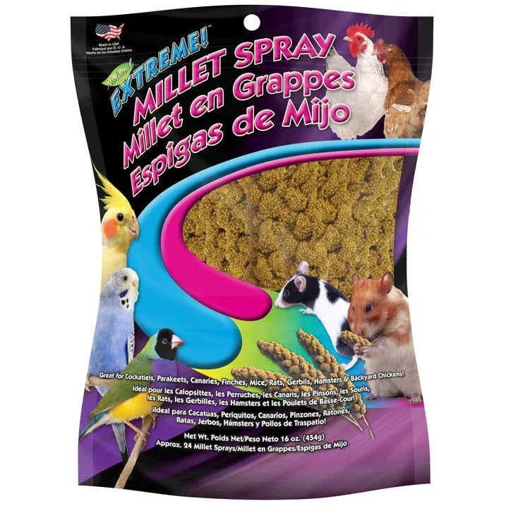 Wholesale Price with free shipping across the USA for (2 pack) FM Brown Extreme Spray Millet Treat 16 oz. - Manji Distributors
