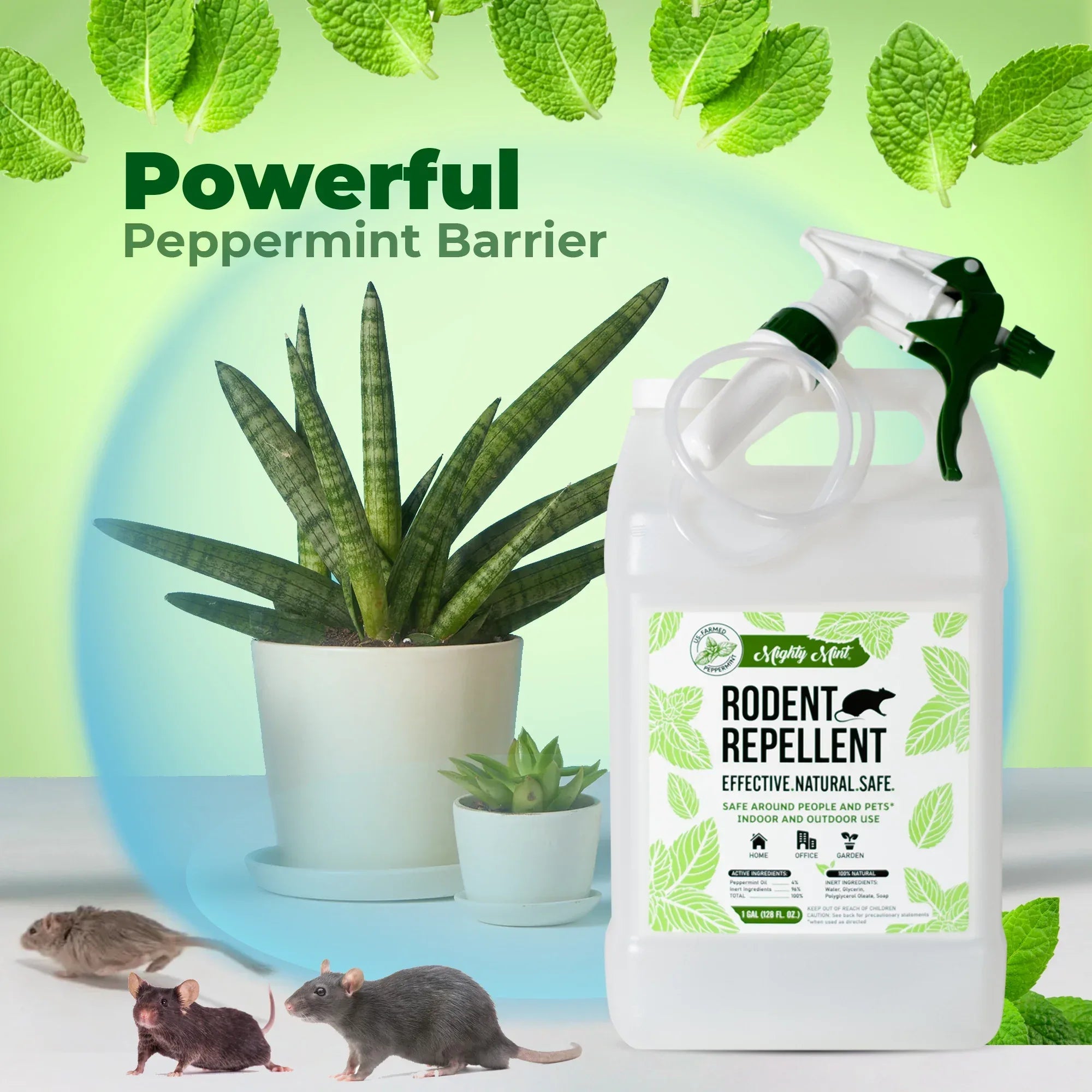 Wholesale Price with free shipping across the USA for Mighty Mint Gallon (128 oz) Rodent Repellent Peppermint Oil Spray - Manji Distributors