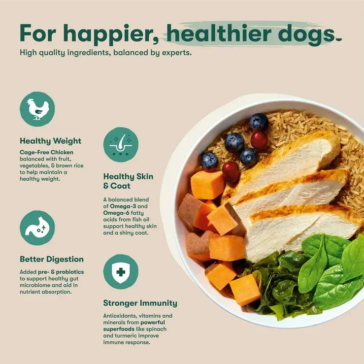 Wholesale Price with free shipping across the USA for Jinx Puppy Cage-Free Chicken, Brown Rice, & Sweet Potato Dry Dog Food, 4lb. Bag - Manji Distributors