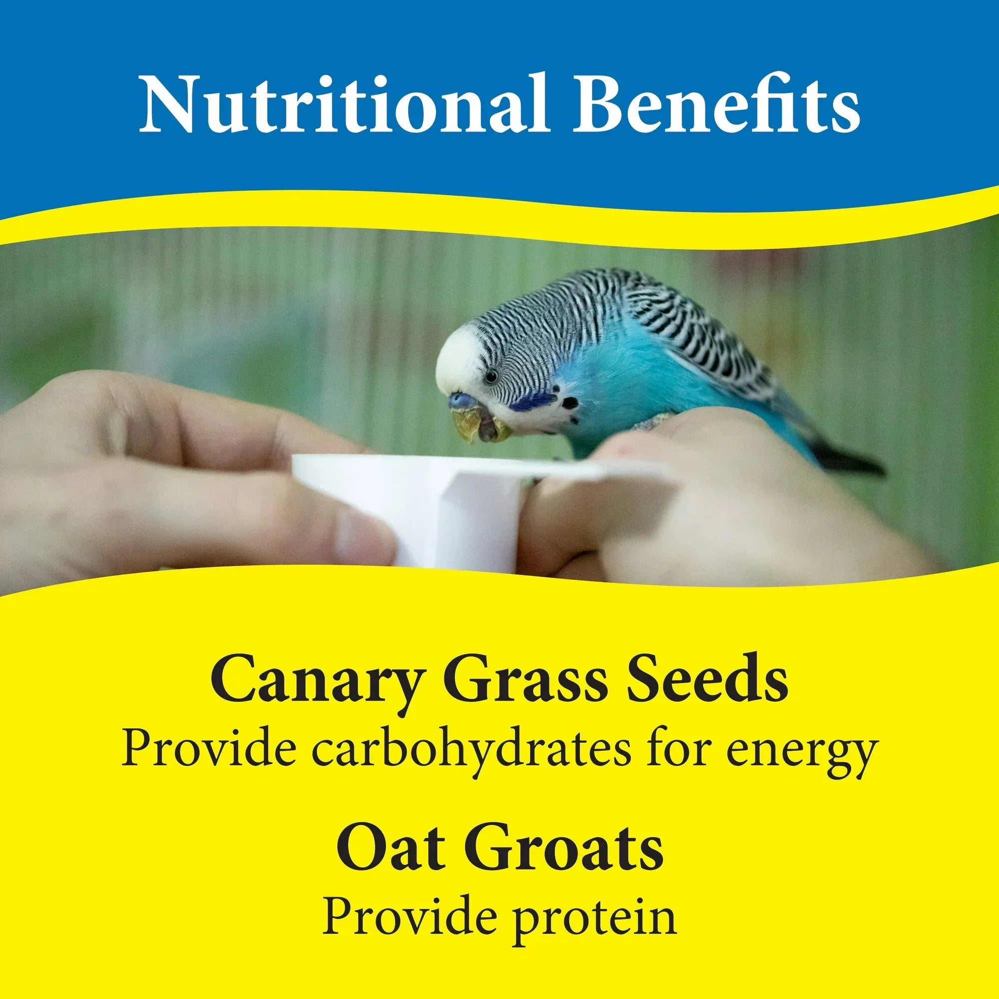 Wholesale Price with free shipping across the USA for 3-D Pet Products Premium Parakeet Food, 5.0 lb. Stay Fresh Jar - Manji Distributors