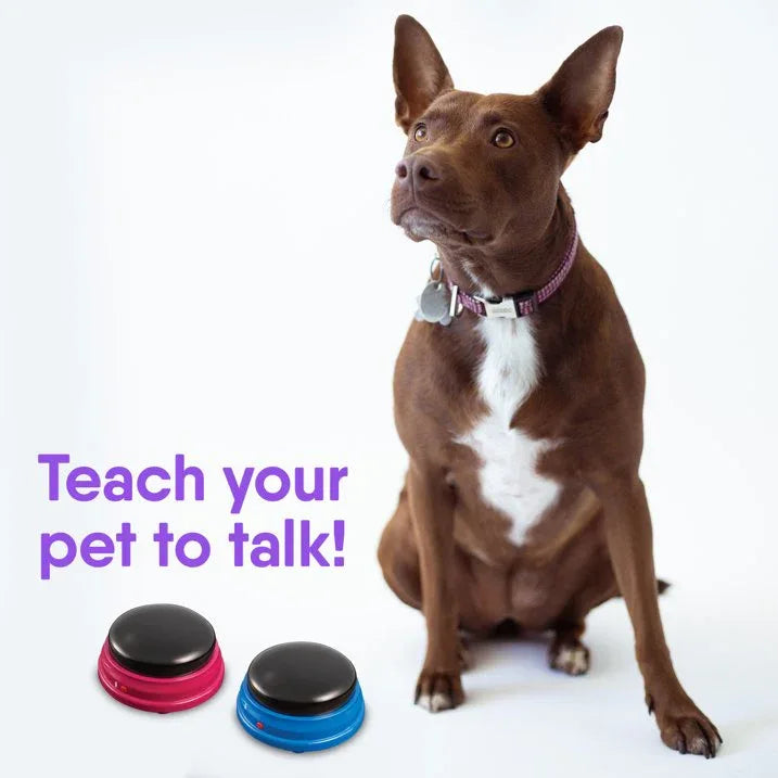 Wholesale Price with free shipping across the USA for Hunger For Words Talking Pet Starter Set Recordable Buttons for Dog Training 4 Pack - Manji Distributors