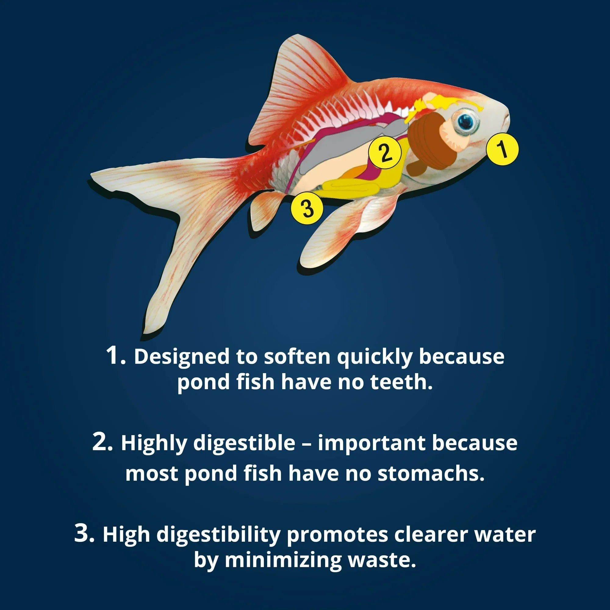 Wholesale Price with free shipping across the USA for Tetra Pond Koi Vibrance Color Enhancing Floating Pond Fish Food, 1.43 lb - Manji Distributors