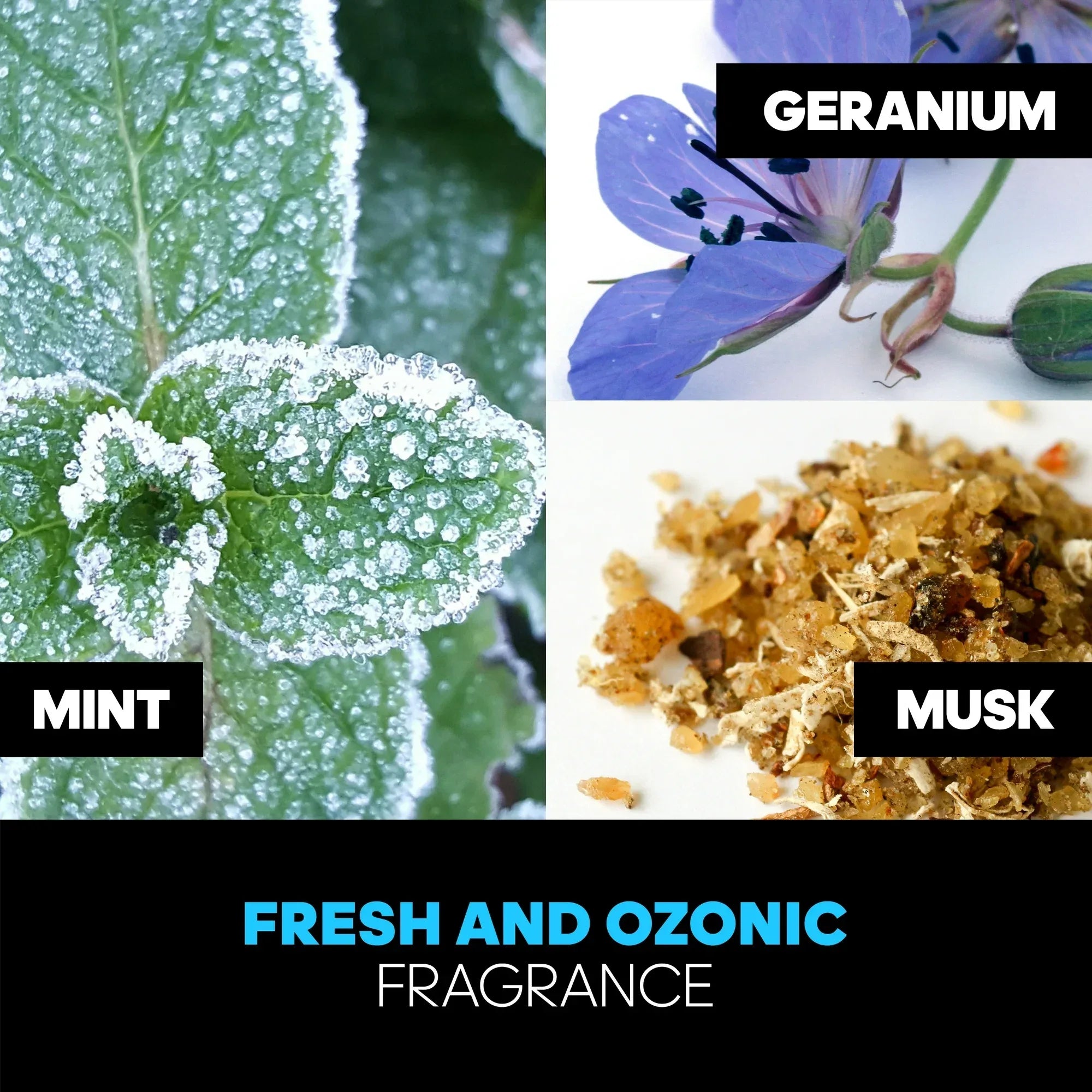 Wholesale Price with free shipping across the USA for Adidas Ice Dive, Eau De Toilette, 1.7 fl oz, Men's Fragrance - Manji Distributors