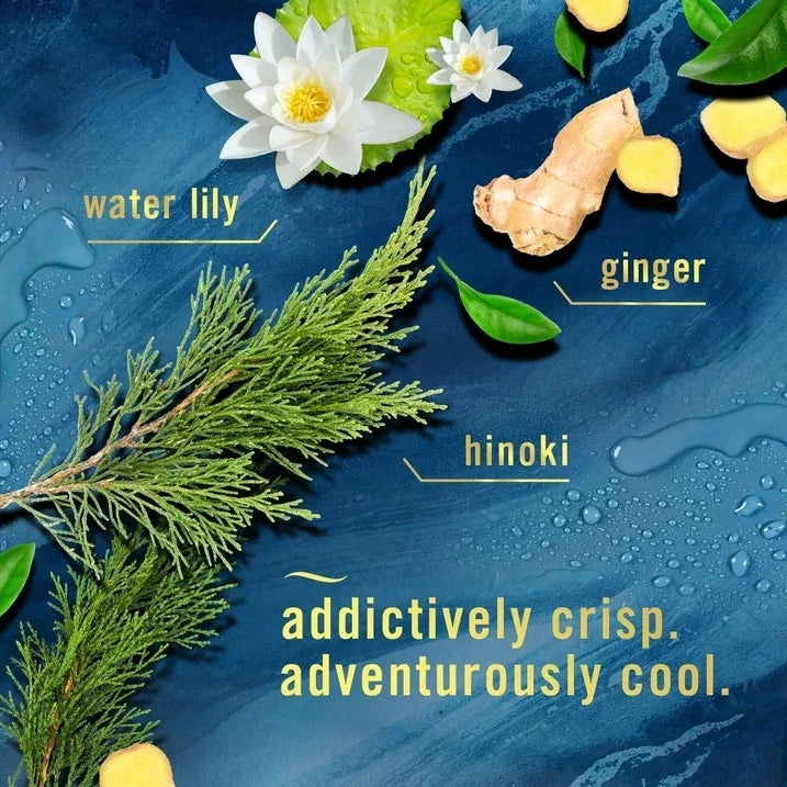 Wholesale Price with free shipping across the USA for Febreze Fabric Spray Air Freshener, Odor-Fighting Fabric Refresher, Unstopables Ocean, 16.9 fl oz - Manji Distributors