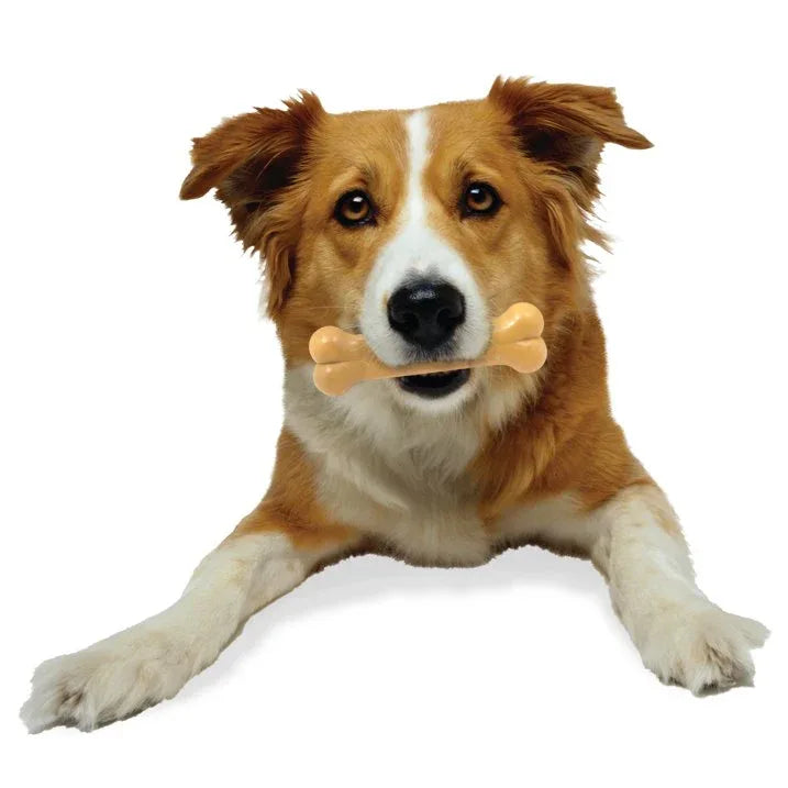 Wholesale Price with free shipping across the USA for Nylabone Power Chew Dura Chew Peanut Butter Dog Chew Toy, Wolf - Manji Distributors