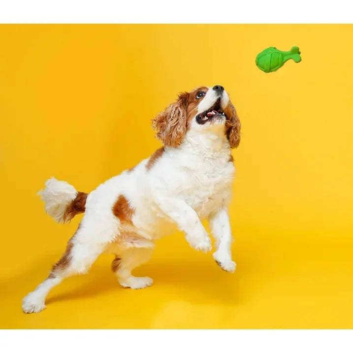 Wholesale Price with free shipping across the USA for Hartz Dura Play Rocket Dog Toy, Medium, Latex, Color May Vary - Manji Distributors