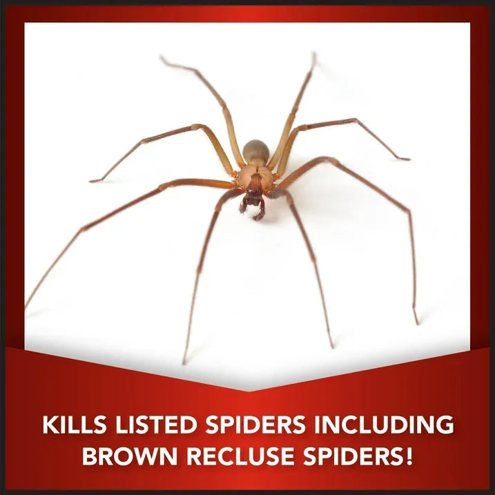 Wholesale Price with free shipping across the USA for Eliminator Ant, Flea & Tick Killer Plus Lawn Insect Granules, 20lb - Manji Distributors