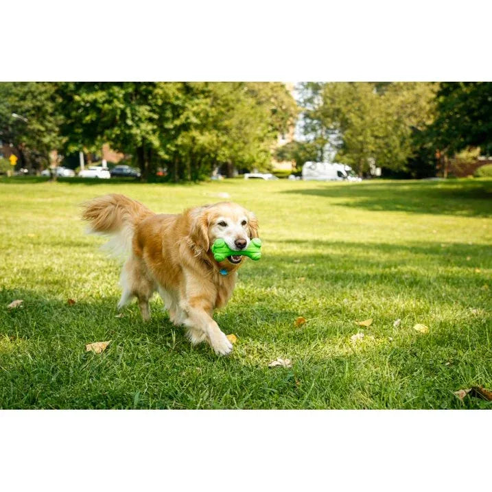 Wholesale Price with free shipping across the USA for Hartz Dura Play Bone Dog Toy, Large, Color Will Vary, - Manji Distributors