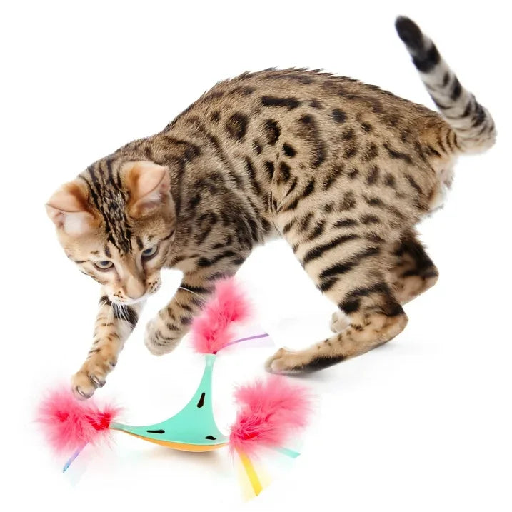 Wholesale Price with free shipping across the USA for SmartyKat Swat 'N Spin Interactive Cat Toy for Exercise & Stimulation, Medium, Blue - Manji Distributors