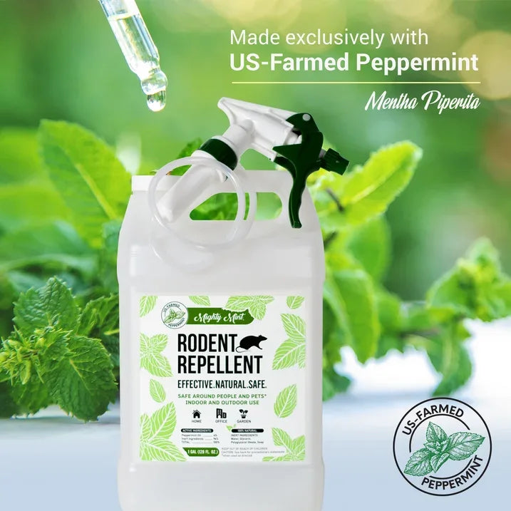Wholesale Price with free shipping across the USA for Mighty Mint Gallon (128 oz) Rodent Repellent Peppermint Oil Spray - Manji Distributors
