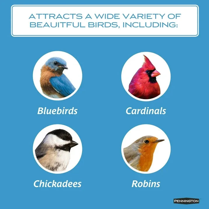 Wholesale Price with free shipping across the USA for Pennington Seed & Mealworm Treat Cake, Wild Bird Feed, 1.4 lb., 1 Pack - Manji Distributors