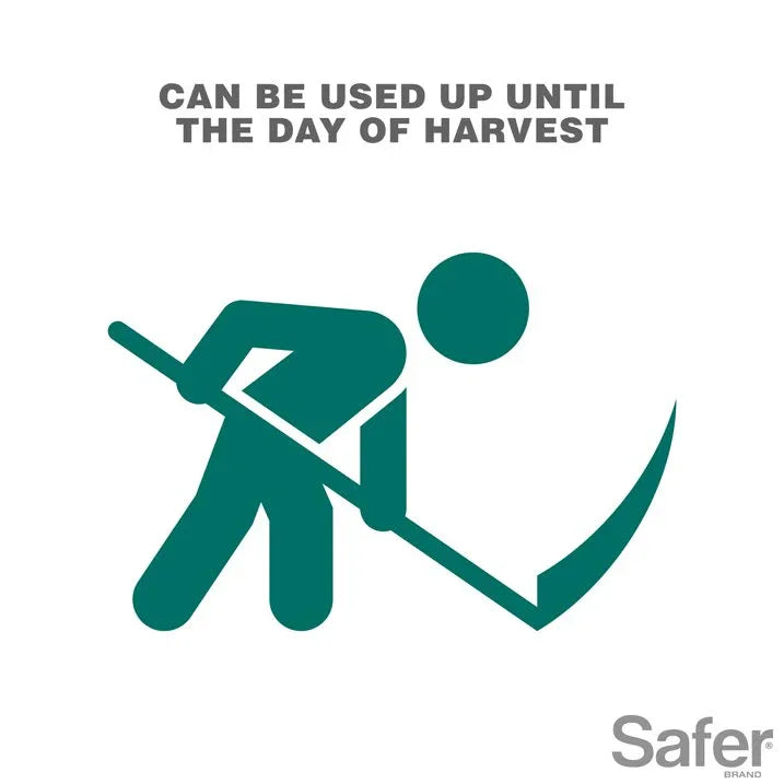 Wholesale Price with free shipping across the USA for Safer Brand OMRI Listed Insect Count Killing Soap, 16 Fluid Ounce Concentrate - Manji Distributors