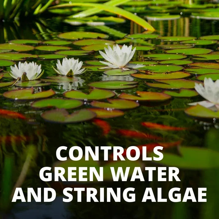 Wholesale Price with free shipping across the USA for Tetra Pond AlgaeControl, Controls Algae in Ornamental Outdoor Ponds and Fountains, 16.9 oz. - Manji Distributors