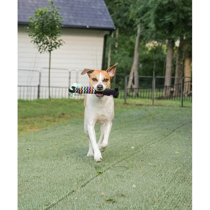 Wholesale Price with free shipping across the USA for Multipet Smiling Loofa Halloween Plush Dog Toy with Squeaker, 2 Piece Multipack, Frankenstein and Mummy, 12