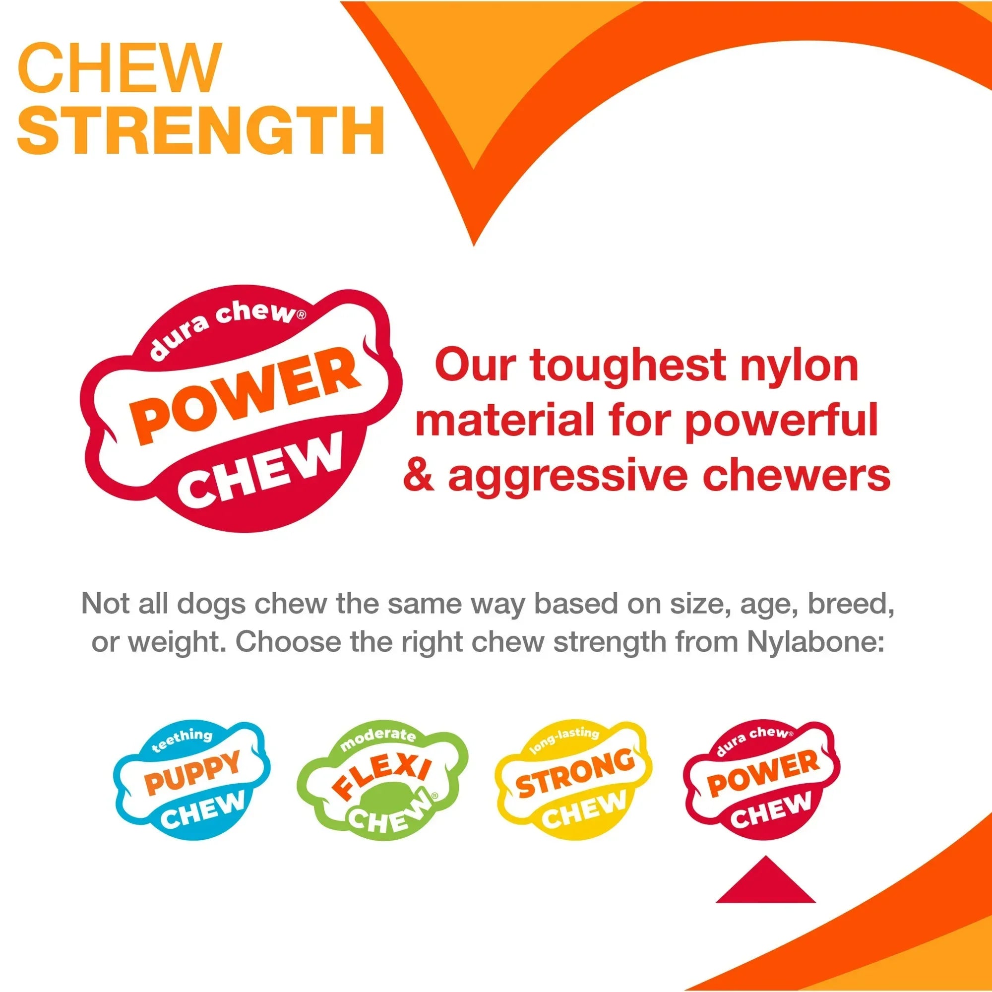 Wholesale Price with free shipping across the USA for Nylabone Power Chew Textured Bone Dog Chew Toy 70th Birthday Orange Swirl Chicken Medium (1 Count) - Manji Distributors