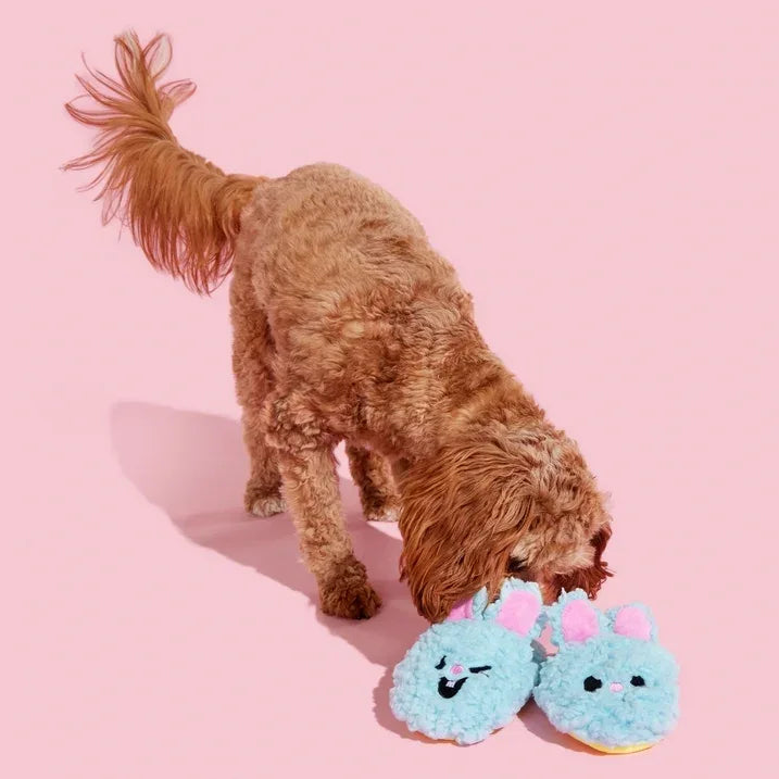 Wholesale Price with free shipping across the USA for BARK Yippy & Skippy Slippies Plush Dog Toys with Squeakers and Crazy Crinkle, for XS to Small Dogs - Manji Distributors