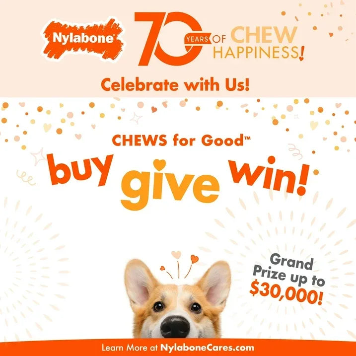 Wholesale Price with free shipping across the USA for Nylabone Power Chew Textured Bone Dog Chew Toy 70th Birthday Orange Swirl Chicken Medium (1 Count) - Manji Distributors