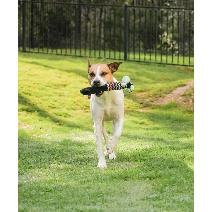 Wholesale Price with free shipping across the USA for Multipet Smiling Loofa Halloween Plush Dog Toy with Squeaker, 2 Piece Multipack, Frankenstein and Mummy, 12