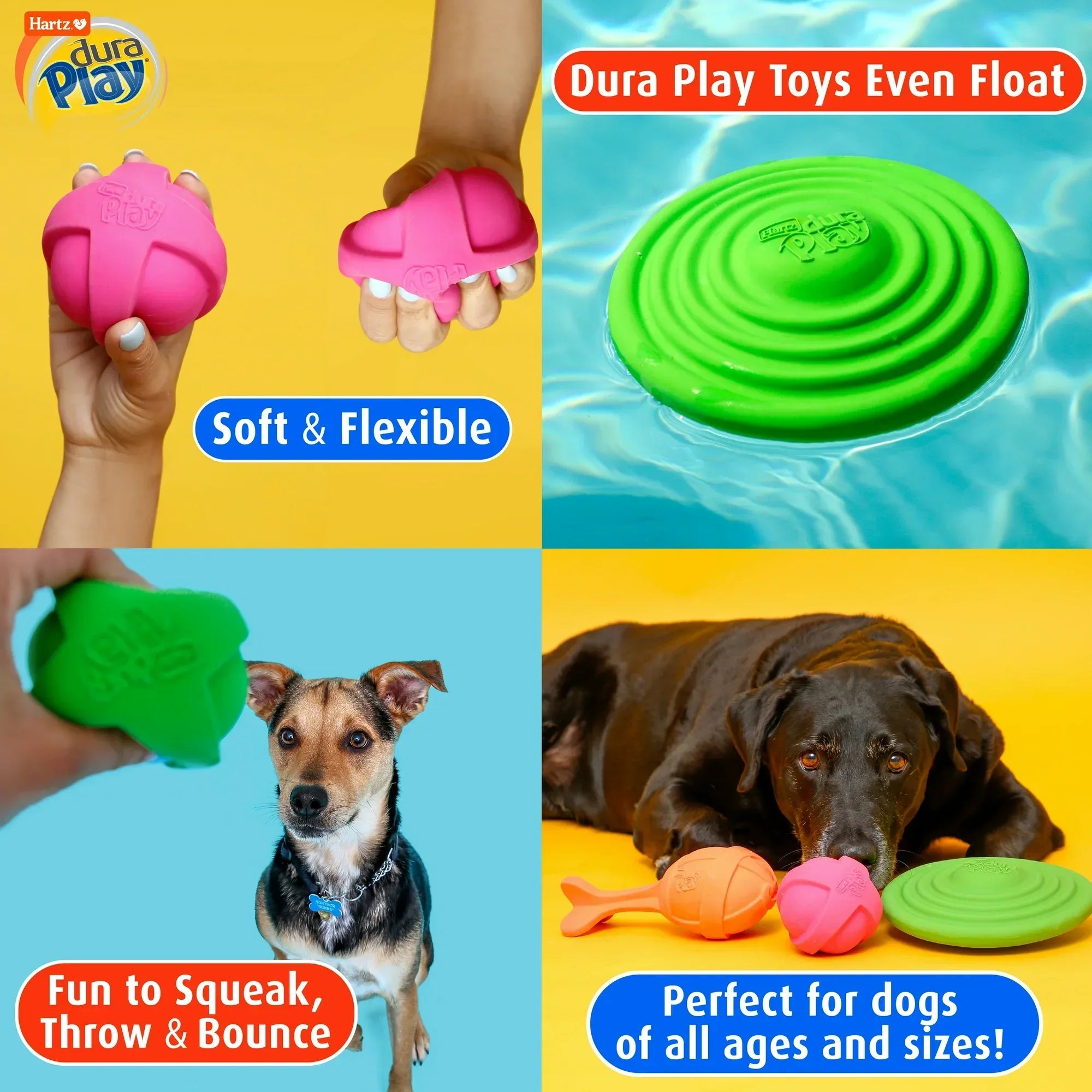 Wholesale Price with free shipping across the USA for Hartz Dura Play Rocket Dog Toy, Medium, Latex, Color May Vary - Manji Distributors