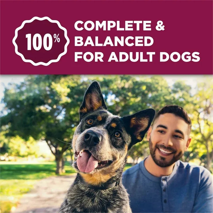 Wholesale Price with free shipping across the USA for Purina Dog Chow Tender and Crunchy with Real Lamb and Turkey Flavor Adult Dry Dog Food, 16 lb Bag - Manji Distributors