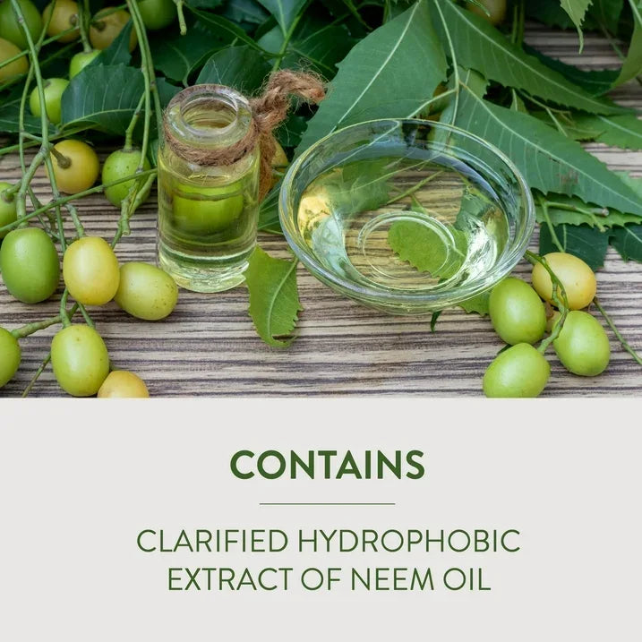 Wholesale Price with free shipping across the USA for Garden Safe Neem Oil Extract Concentrate for Organic Gardening, 10 Fluid Ounces - Manji Distributors