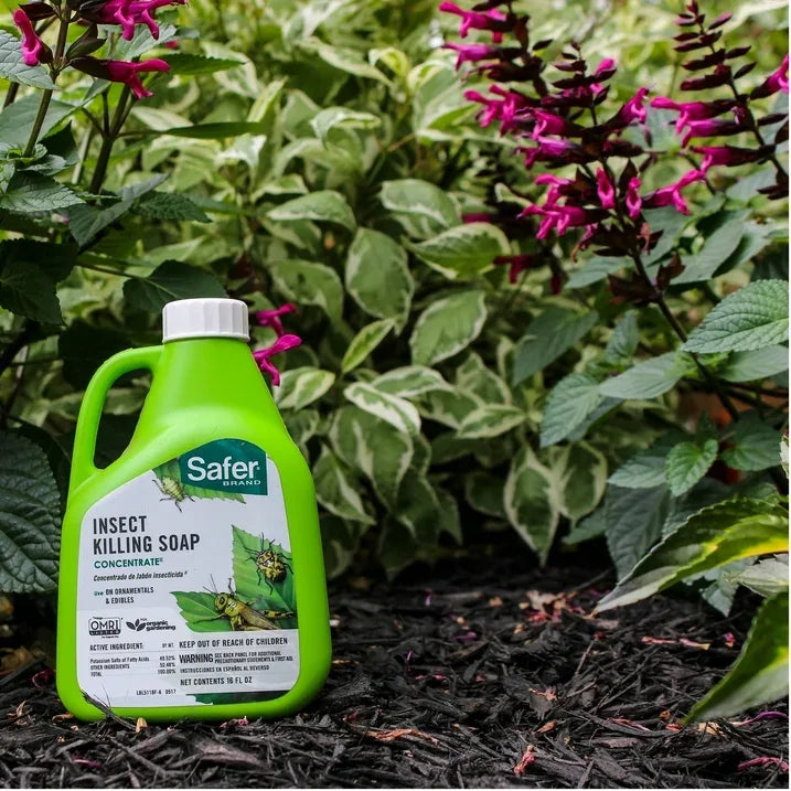 Wholesale Price with free shipping across the USA for Safer Brand OMRI Listed Insect Count Killing Soap, 16 Fluid Ounce Concentrate - Manji Distributors