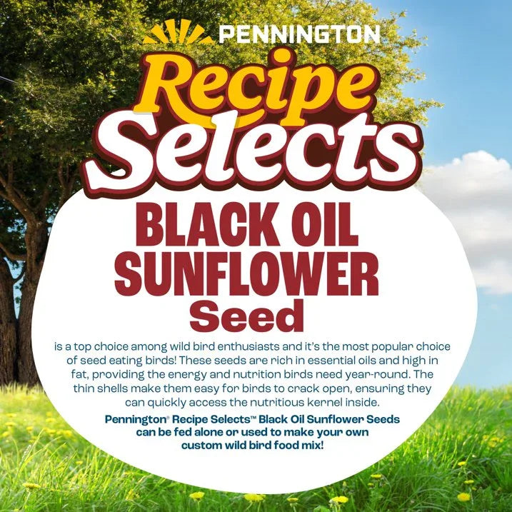 Wholesale Price with free shipping across the USA for Pennington Select Black Oil Sunflower Seed Wild Bird Dry Feed, 40 lb. Bag - Manji Distributors