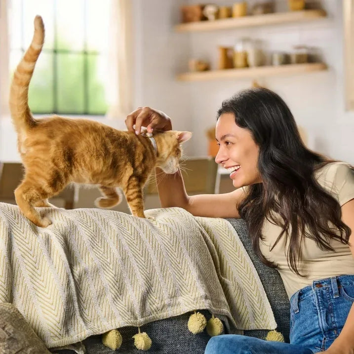 Wholesale Price with free shipping across the USA for (4 pack) Meow Mix Tender Centers Dry Cat Food with Basted Bites, Chicken & Tuna Flavors, 14.2 lb Bag - Manji Distributors