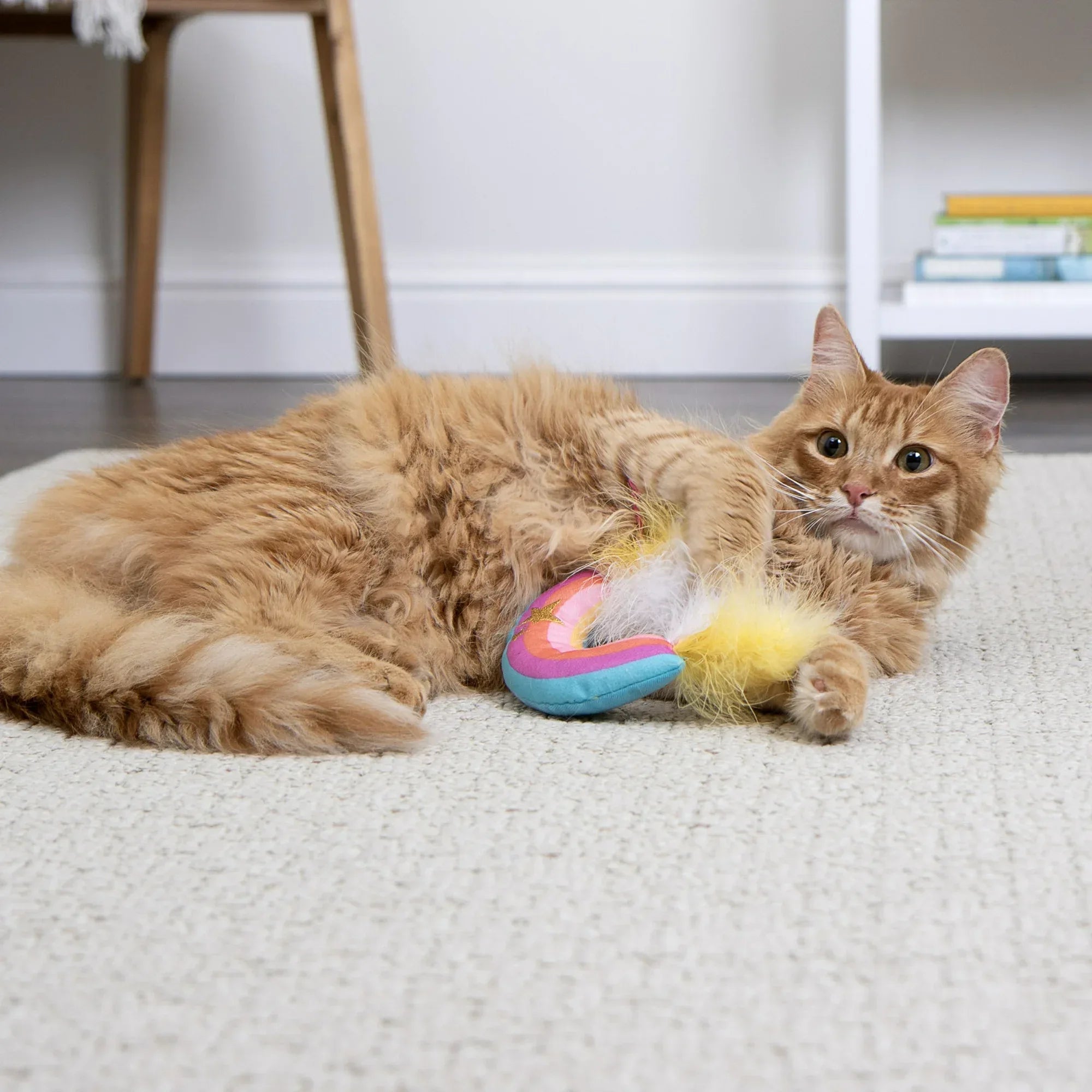 Wholesale Price with free shipping across the USA for SmartyKat Rainbow Ruckus Catnip Kicker Cat Toy with Raffia & Feathers, Multi-Color - Manji Distributors