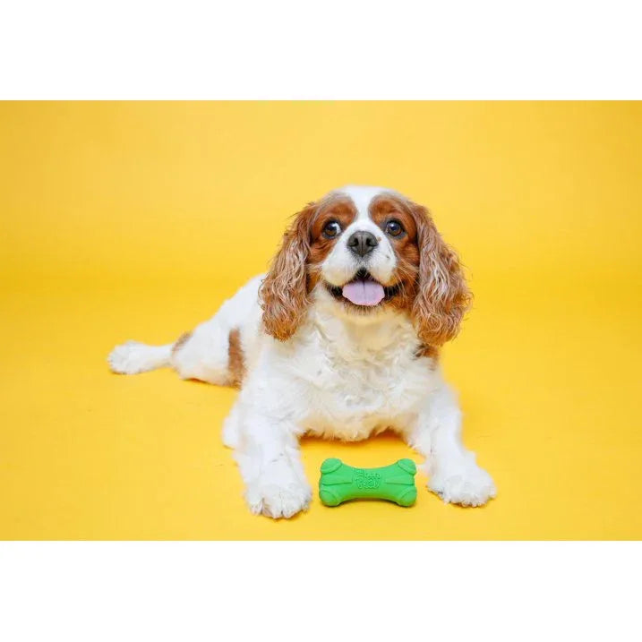 Wholesale Price with free shipping across the USA for Hartz Dura Play Medium Bone Dog Toy with Bacon Scent and Squeaker, Latex, 3 Pack - Manji Distributors