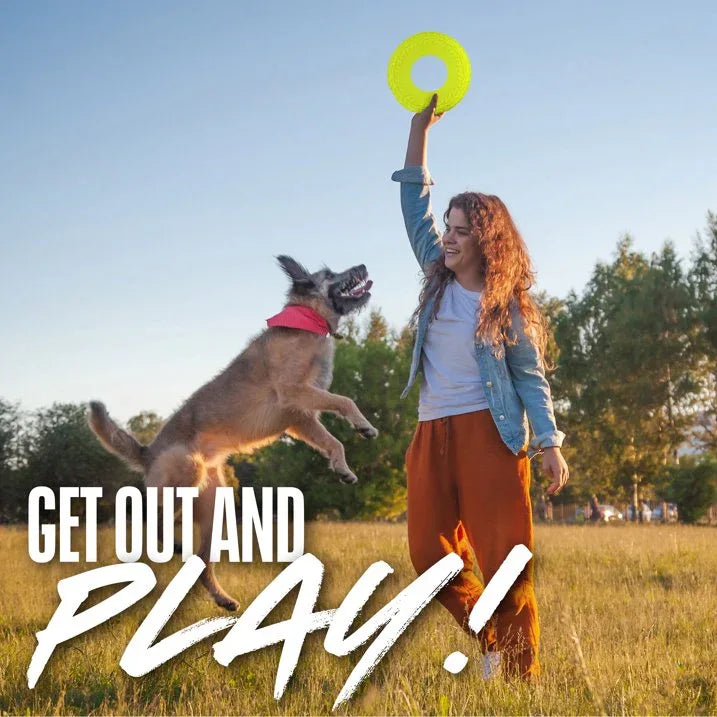 Wholesale Price with free shipping across the USA for Nerf Dog Tire Flyer Dog Fetch Toy, Green, 10 inch - Manji Distributors