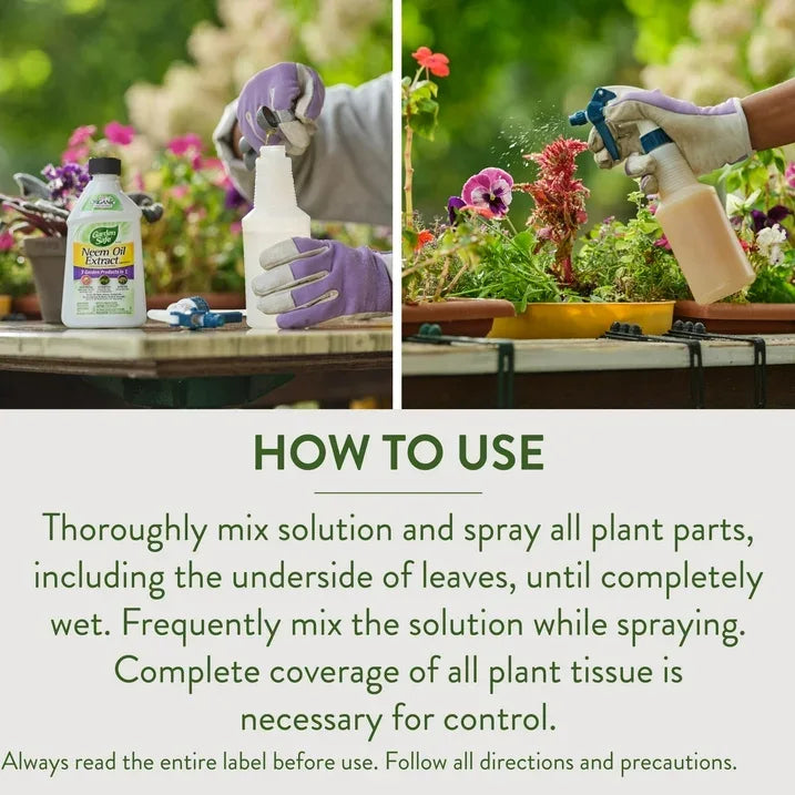 Wholesale Price with free shipping across the USA for Garden Safe Neem Oil Extract Concentrate for Organic Gardening, 10 Fluid Ounces - Manji Distributors