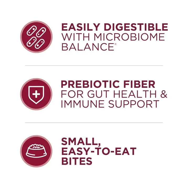 Wholesale Price with free shipping across the USA for Purina ONE Small Bites Dry Dog Food for Adult Dogs with Added Vitamins & Minerals, High Protein Beef & Rice, 16.5 lb Bag - Manji Distributors