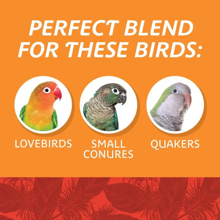 Wholesale Price with free shipping across the USA for (3 pack) Pennington Medium Bird Blend Bird Food for Cockatiels, Love Birds; 3 lb Bag - Manji Distributors