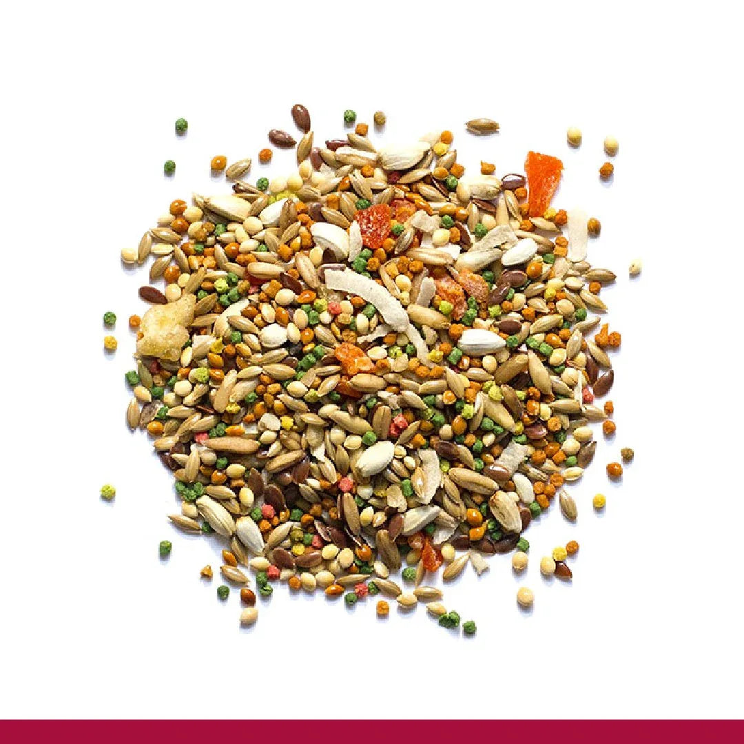 Wholesale Price with free shipping across the USA for Zupreem Smart Selects Canary & Finch Food, 2-lb Bag Mixed Seeds and Pellets - Manji Distributors