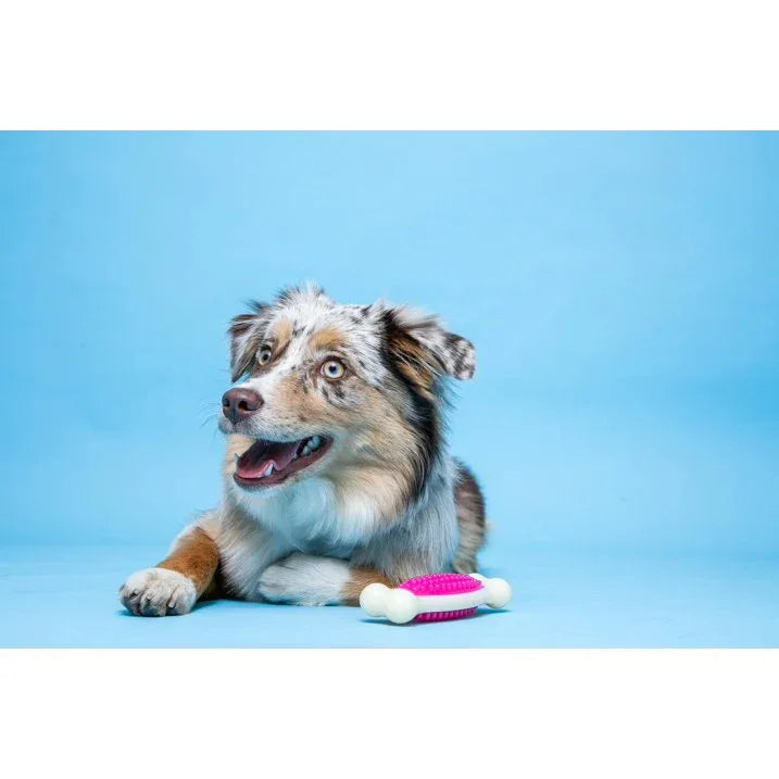 Wholesale Price with free shipping across the USA for Hartz Chew 'n Clean Tuff Bone Dog Toy with Bacon Scent, Medium, Nylon - Manji Distributors