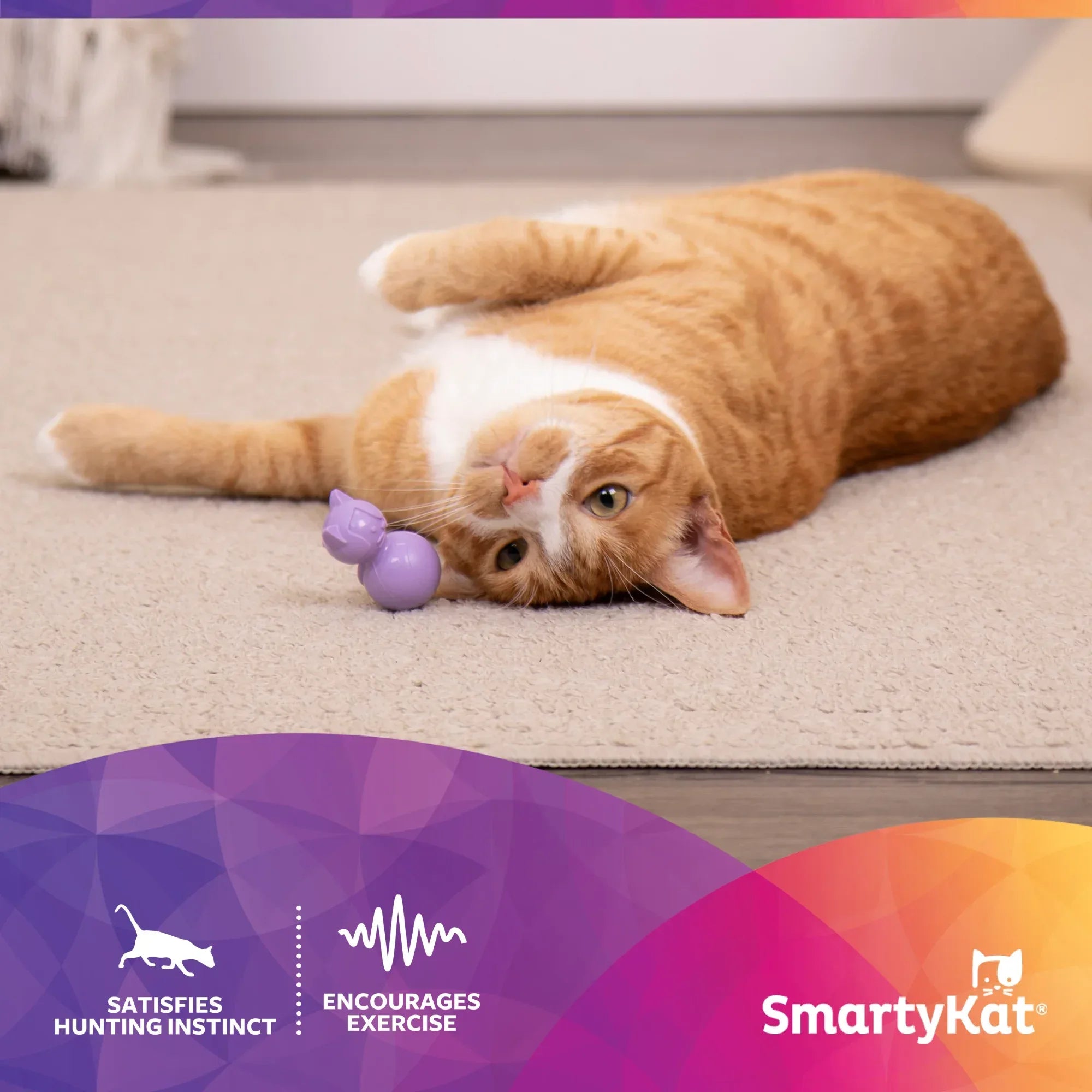 Wholesale Price with free shipping across the USA for SmartyKat Teeter Tiger Cat Exercise Toy – Stimulating Motion Toy for Cats, Purple - Manji Distributors