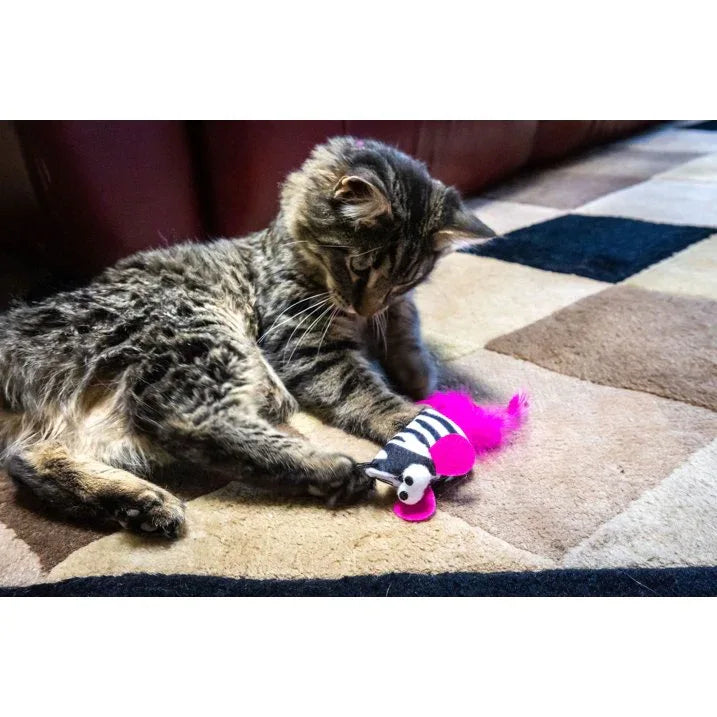 Wholesale Price with free shipping across the USA for (5 pack) Vibrant Life Safari Feather Mice Cat Toy, Assorted Colors - Manji Distributors