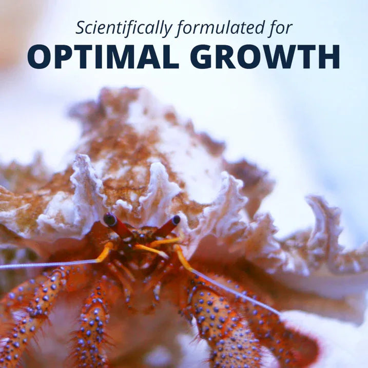 Wholesale Price with free shipping across the USA for Tetra Hermit Crab Cakes Food Pellets for All Land Crabs, 1.58 oz - Manji Distributors