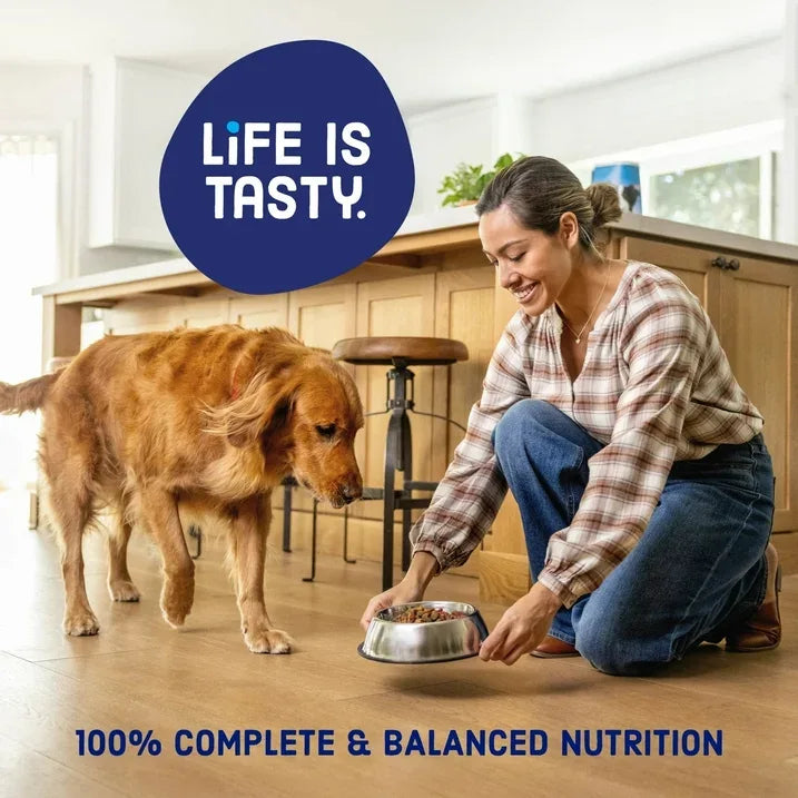 Wholesale Price with free shipping across the USA for Kibbles 'n Bits Triple Steak Flavor Dry High Protein Dog Food 40 lb Bag - Manji Distributors