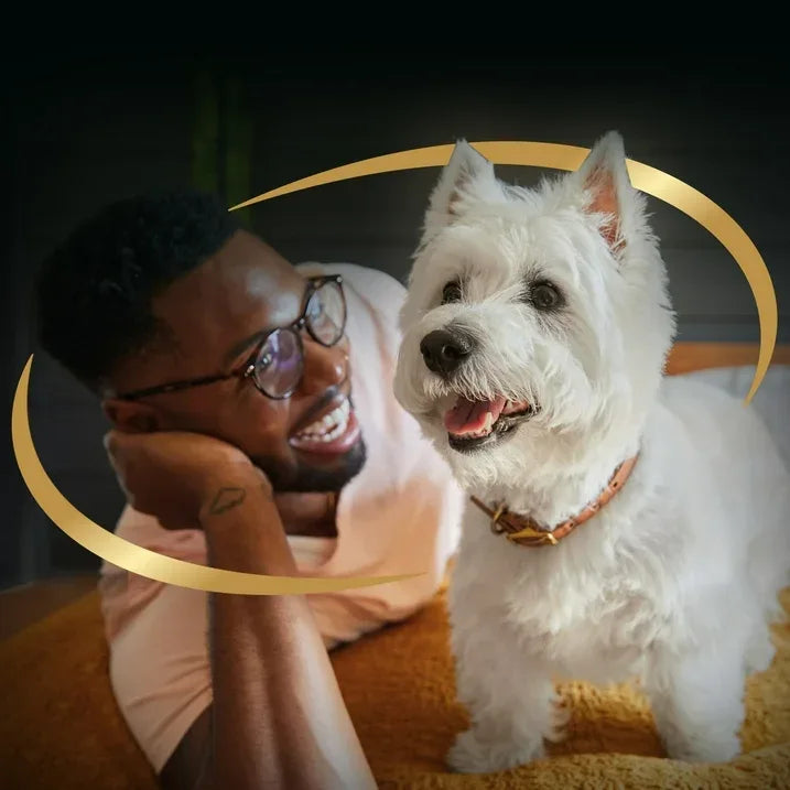 Wholesale Price with free shipping across the USA for Cesar Simply Crafted Wet Dog Food Variety Pack, 1.3 Oz Tubs (8 Pack) - Manji Distributors